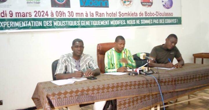 Santé / Burkina : La Coalition pour la Souveraineté Sanitaire appelle à l’arrêt des expérimentations génétiques sur les moustiques
