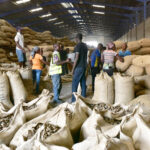 Burkina/Exportation de noix de cajou : la mises en garde par le gouvernement contre les violations de la réglementation